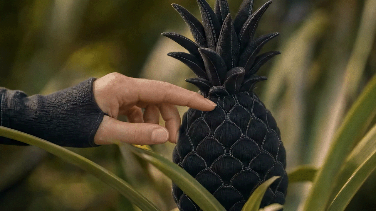 Nike × Pineapple Commercial